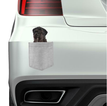 Bouviers Des Flandre in pocket Fridge Car Magnet Bumper Sticker App size 4"x7"