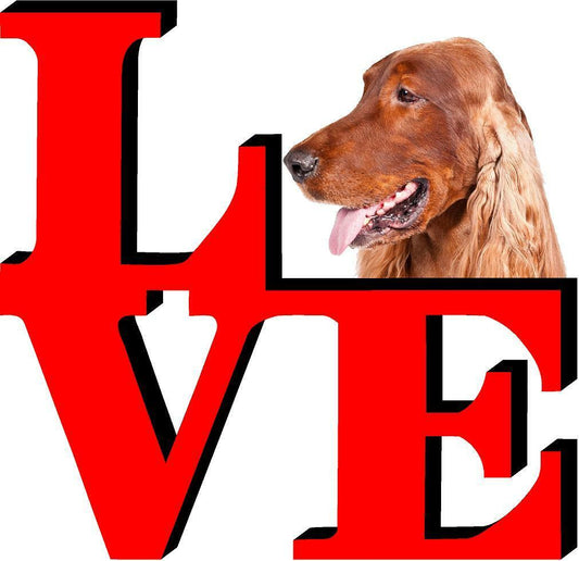 Irish Setter Dog Love Park Dog Fridge Refrigerator Car Magnet