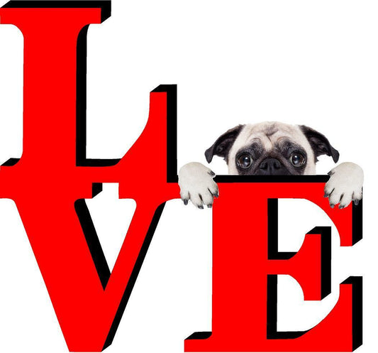 Pug Puppy Park Cute Dog Fridge Refrigerator Car Magnet