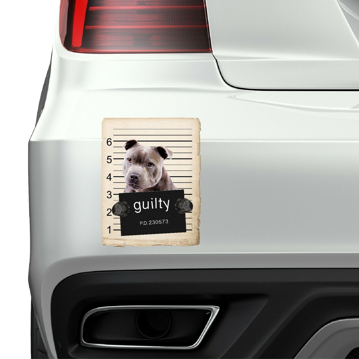 American Staffordshire Mugshot Bad Dog Fridge refrigerator Car Magnet