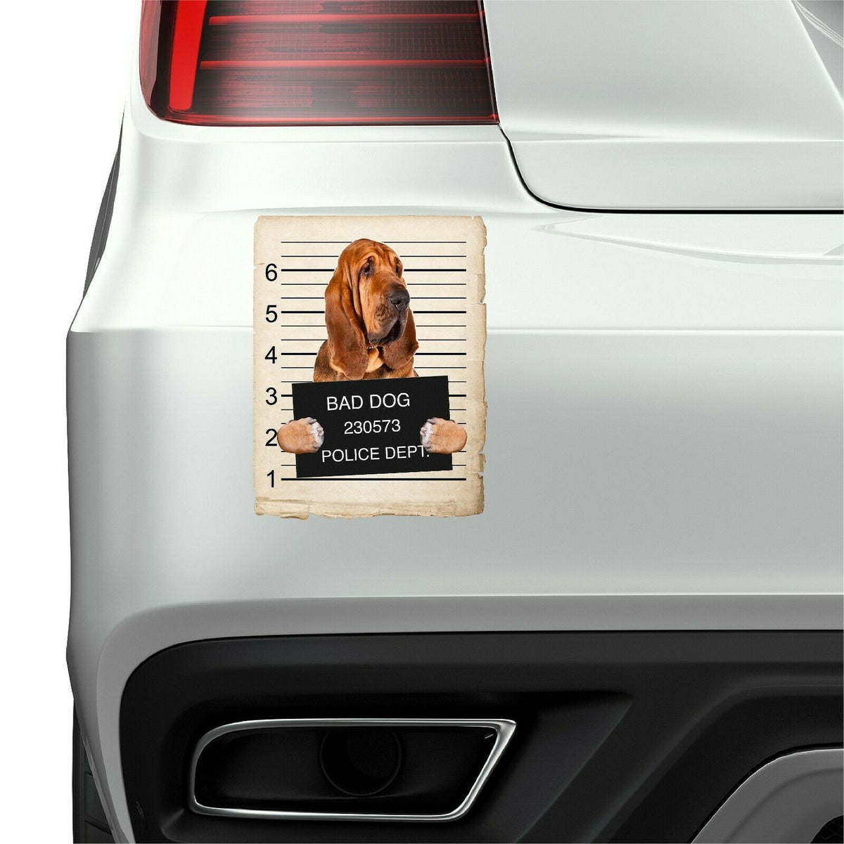Bloodhound Mugshot Bad Dog Fridge refrigerator Car Magnet