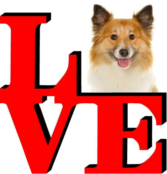 Icelandic Sheepdog Dog Love Park Dog Fridge Refrigerator Car Magnet