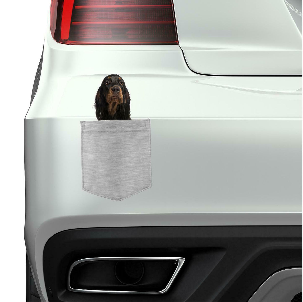 Gorden Setter Dog in pocket Fridge Car Magnet Bumper Sticker App size 4"x7"