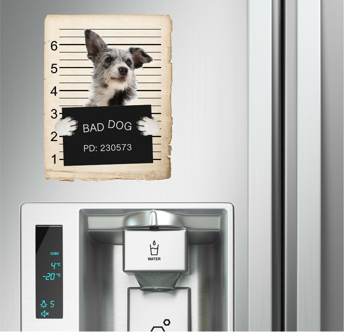 Australian Cattle Dog Mugshot Bad Dog Fridge refrigerator Car Magnet