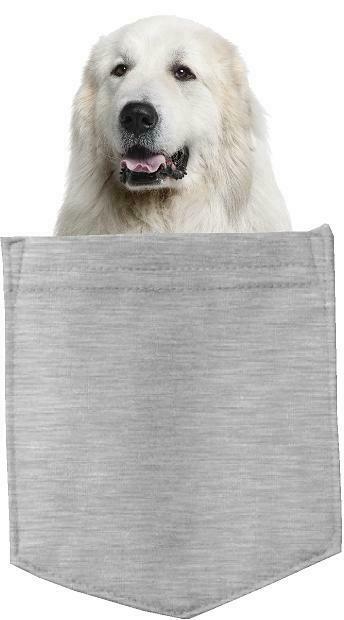 Great Pyrenees Dog in pocket Fridge Car Magnet Bumper Sticker App size 4"x7"