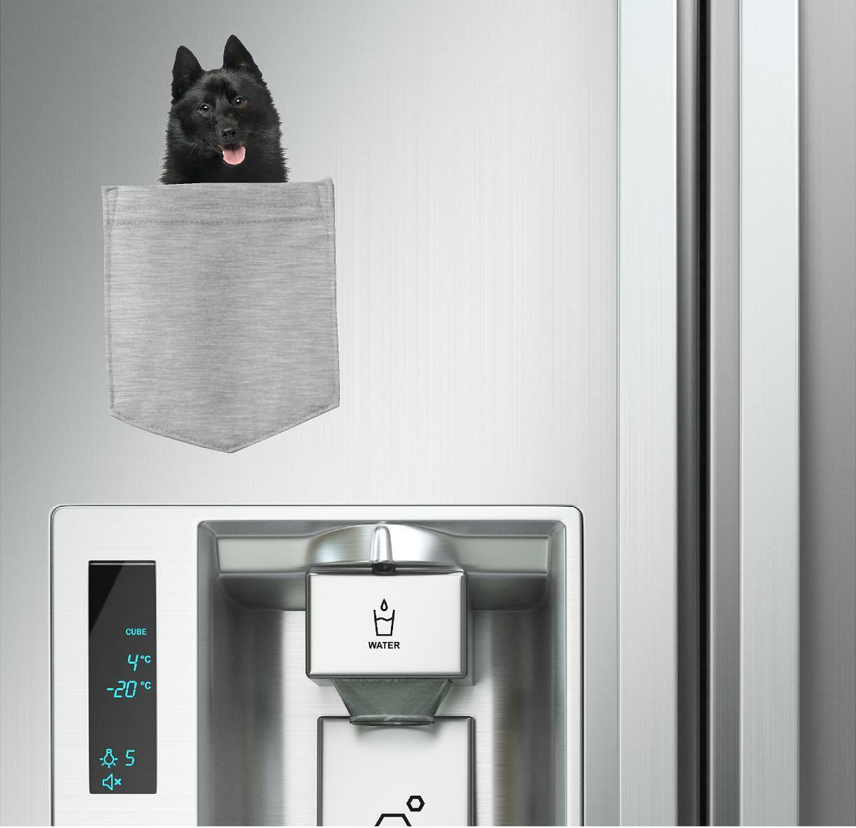 Schipperkes Dog in pocket Fridge Car Magnet Bumper Sticker App size 4"x7"