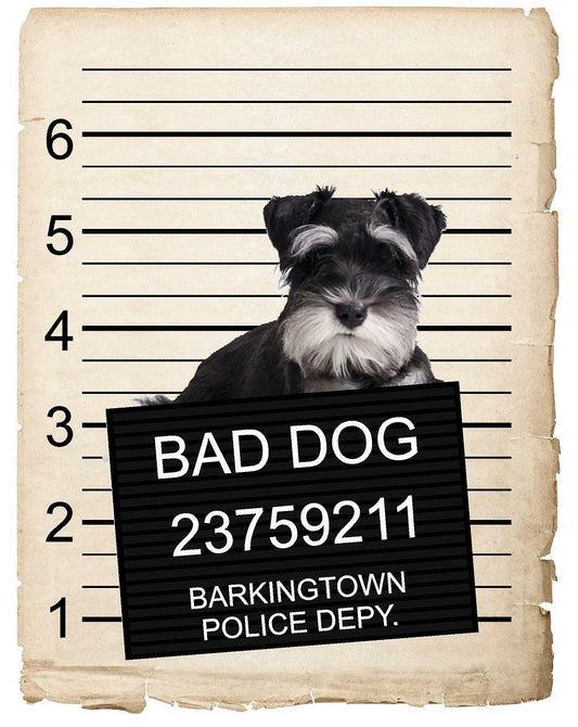 Miniature Schnauzer Mugshot Bad Dog Fridge refrigerator Car Magnet