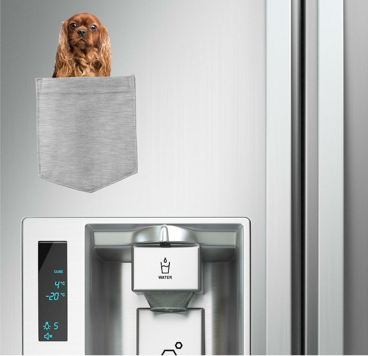 Cavalier King Charles in pocket Fridge Car Magnet Bumper Sticker App size 4"x7"