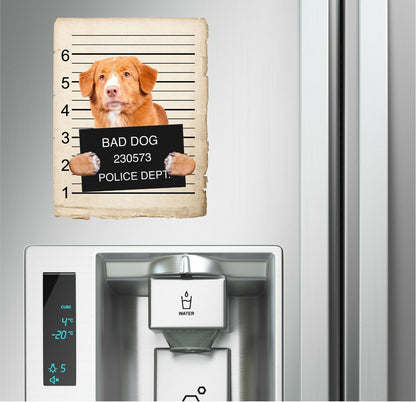 Nova Scotia Duck Toller Mugshot Bad Dog Fridge refrigerator Car Magnet