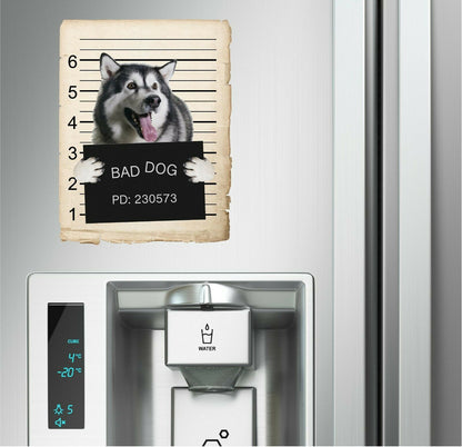 Alaskan Malamute Mugshot Bad Dog Fridge refrigerator Car Magnet Bumper Sticker