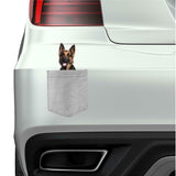 German Shepard Dog in pocket Fridge Car Magnet Bumper Sticker App size 4"x7"