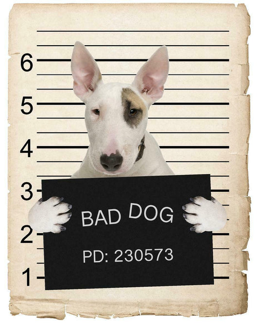 Bull Terrier Mugshot Bad Dog Fridge refrigerator Car Magnet