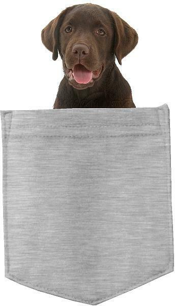 Chocolate Lab Dog in pocket Fridge Car Magnet Bumper Sticker App size 4"x7"