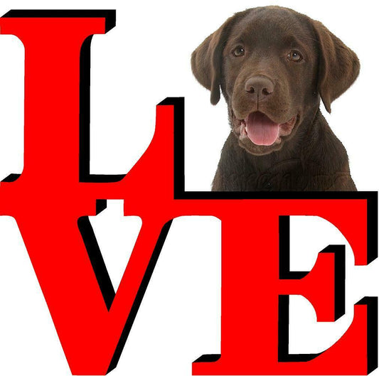 Chocolate Lab Dog Love Park Dog Fridge Refrigerator Car Magnet