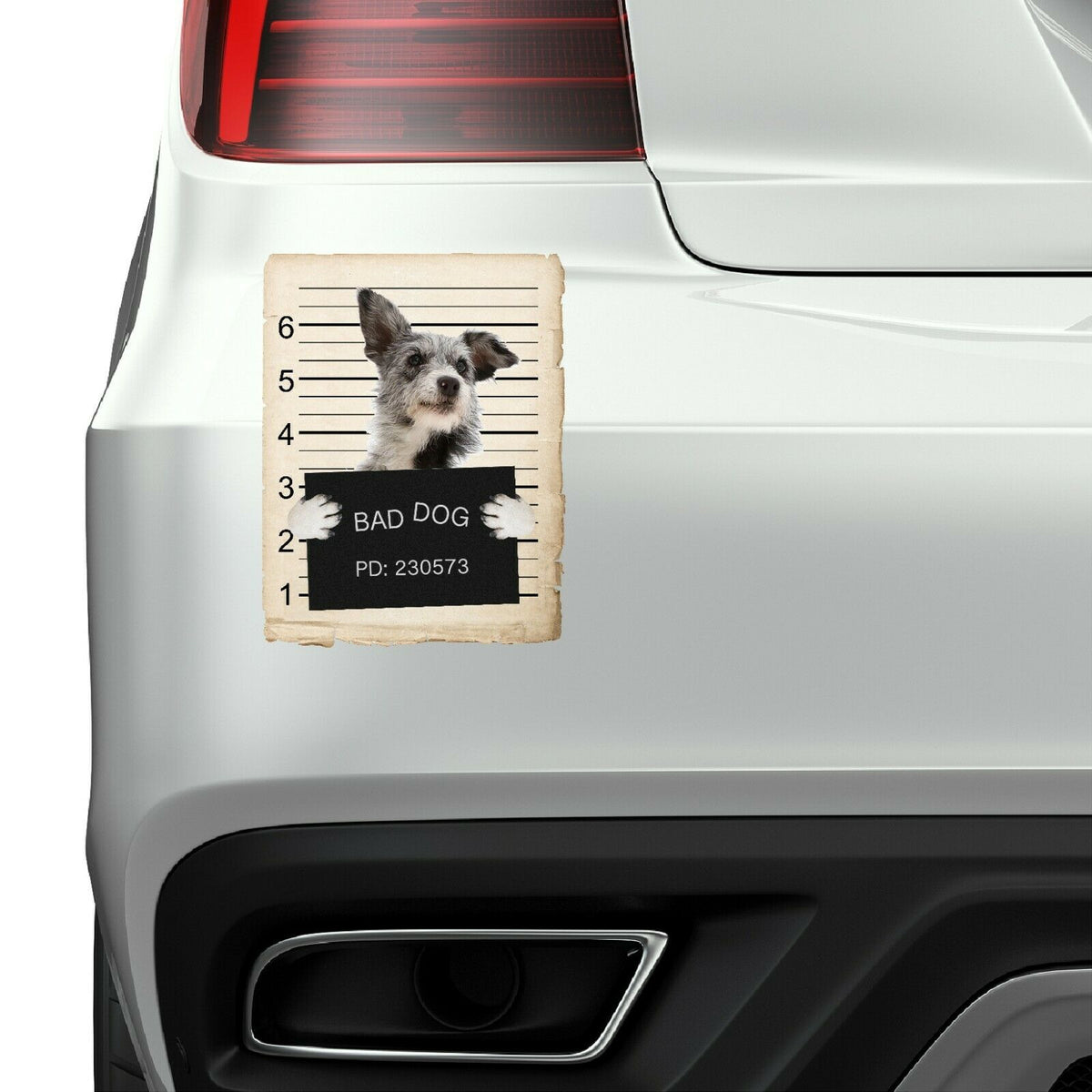 Australian Cattle Dog Mugshot Bad Dog Fridge refrigerator Car Magnet