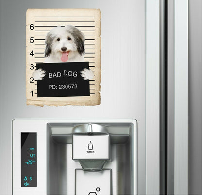 Coton De Tulear Mugshot Bad Dog Fridge refrigerator Car Magnet