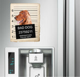 Irish Setter Mugshot Bad Dog Fridge refrigerator Car Magnet