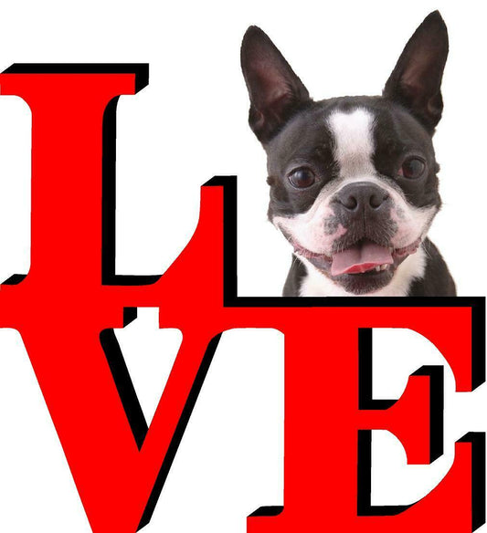 Boston Terrier Dog Love Park Cute Dog Fridge Refrigerator Car Magnet