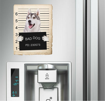 Siberian Huskey Mugshot Bad Dog Fridge refrigerator Car Magnet