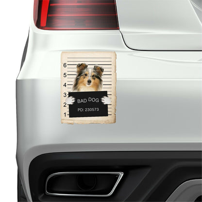 Shetland Sheepdog Mugshot Bad Dog Fridge refrigerator Car Magnet