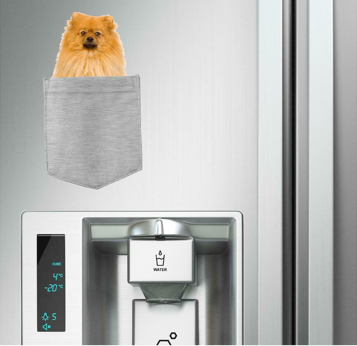 Pomeranian Dog in pocket Fridge Car Magnet Bumper Sticker App size 4"x7"