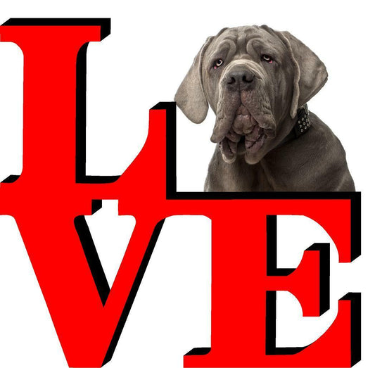 Neopolitan Mastiff Love Park Cute Dog Fridge Refrigerator Car Magnet