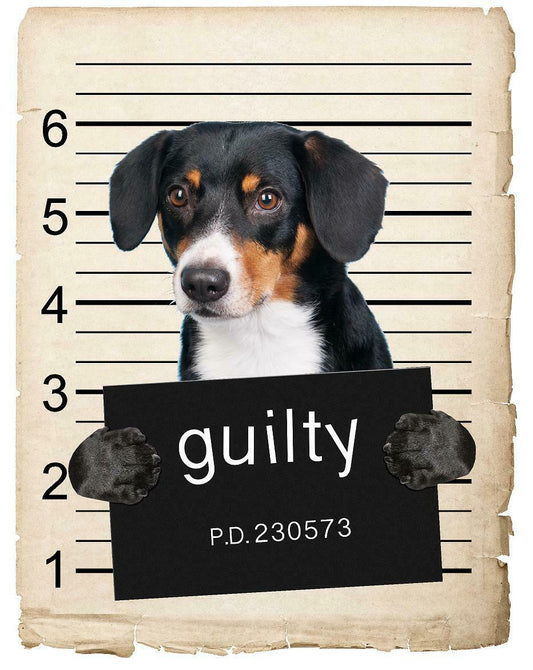 Wirehaired Vizsla Mugshot Bad Dog Fridge refrigerator Car Magnet