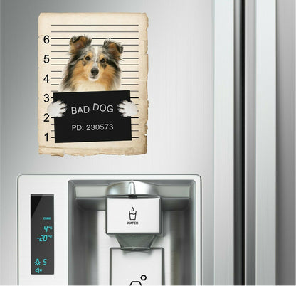 Shetland Sheepdog Mugshot Bad Dog Fridge refrigerator Car Magnet