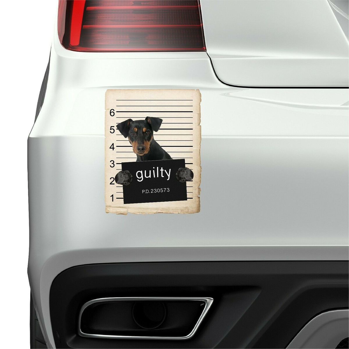 German Pinscher Mugshot Bad Dog Fridge refrigerator Car Magnet