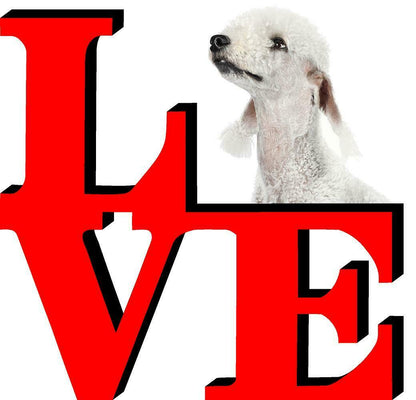 Bedlington Terrier Love Park Cute Dog Fridge Refrigerator Car Magnet