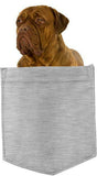 Dogues De Bordeaux Dog in pocket Fridge Car Magnet Bumper Sticker App size 4"x7"