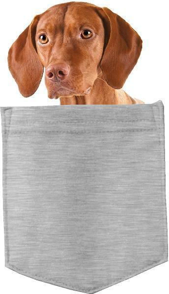Vizsla Dog in pocket Fridge Car Magnet Bumper Sticker App size 4"x7"