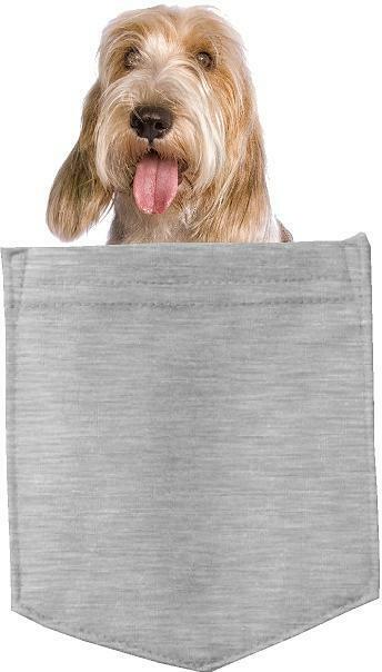 Petits Bassets Griffons  pocket Fridge Car Magnet Bumper Sticker App size 4"x7"