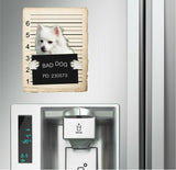 American Eskimo Mugshot Bad Dog Fridge refrigerator Car Magnet Bumper Sticker