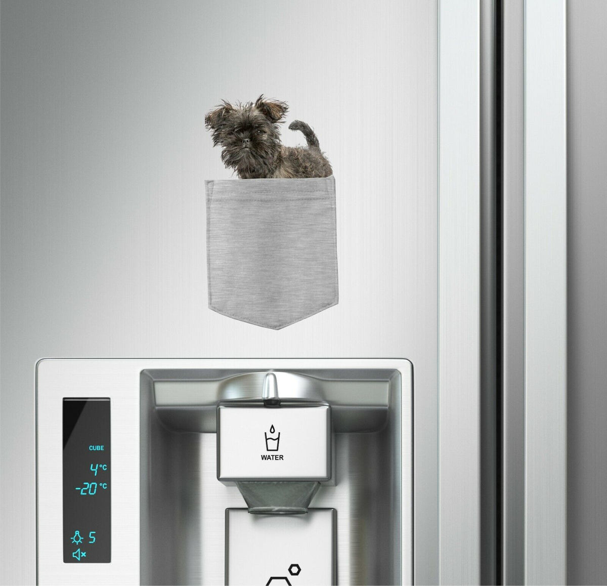 Affenpinscher Dog in pocket Fridge Car Magnet Bumper Sticker App size 4"x7"