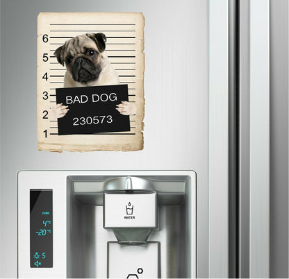 Pug Mugshot Bad Dog Fridge refrigerator Car Magnet