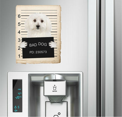 Bichon Frise Mugshot Bad Dog Fridge refrigerator Car Magnet