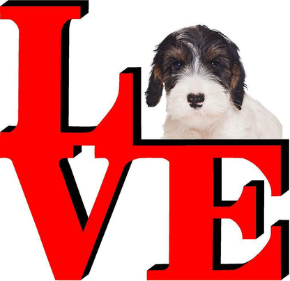 Sealyham Terrier Cute Dog Fridge Refrigerator Car Magnet