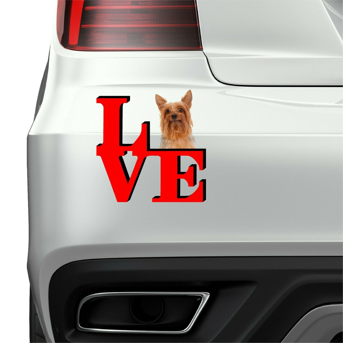 Silkey Terrier Cute Dog Fridge Refrigerator Car Magnet