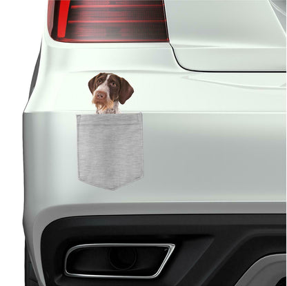Pointers German Wirehaire pocket Fridge Car Magnet Bumper Sticker App size 4"x7"