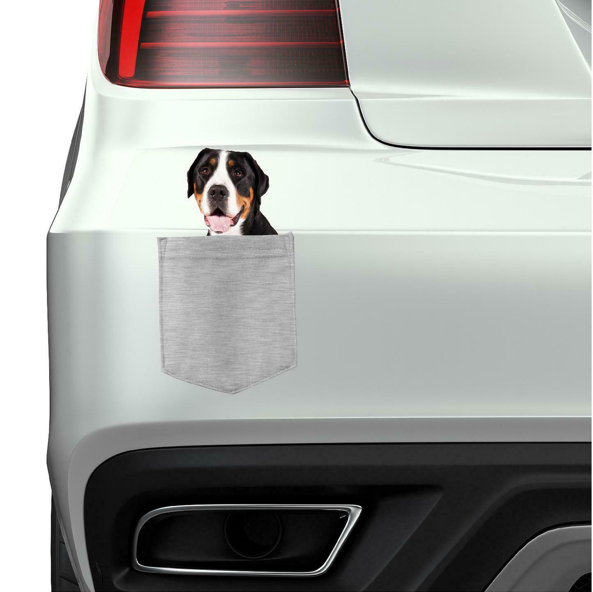Greater Swiss Mountian Dog in pocket Fridge Car Magnet Bumper Sticker