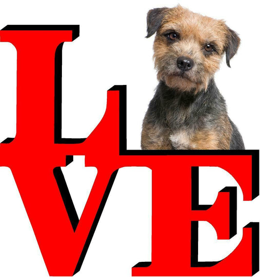 Border Terrier Dog Love Park Cute Dog Fridge Refrigerator Car Magnet