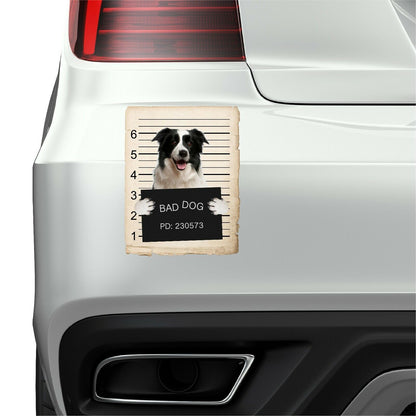 Border Collie Mugshot Bad Dog Fridge refrigerator Car Magnet