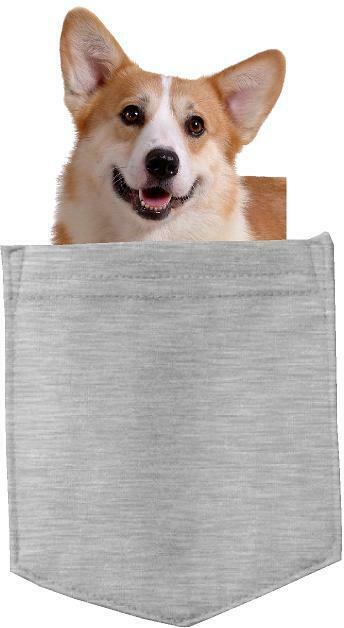 Pembroke Welsh Corgi in  pocket Fridge Car Magnet Bumper Sticker App size 4"x7"