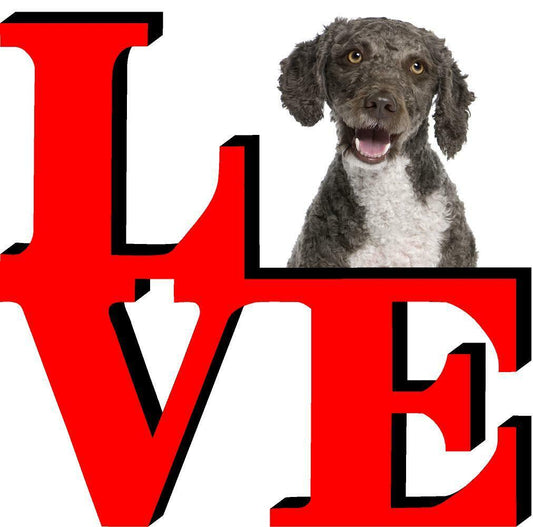 Spanish Water Spaniel Cute Dog Fridge Refrigerator Car Magnet