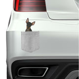 Manchester Terrier Dog in pocket Fridge Car Magnet Bumper Sticker App size 4"x7"