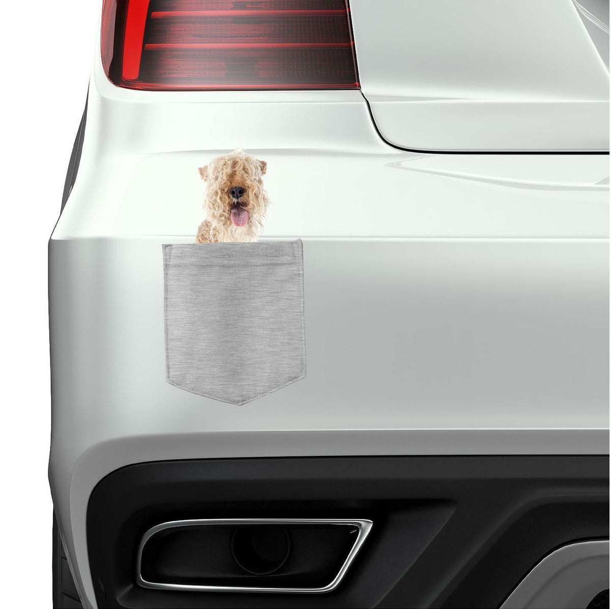 Lakeland Terrier Dog in pocket Fridge Car Magnet Bumper Sticker App size 4"x7"