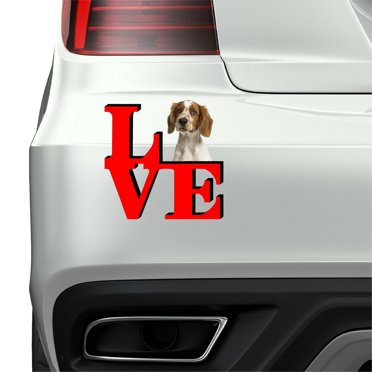 Welsh Springer Spaniel Cute Dog Fridge Refrigerator Car Magnet
