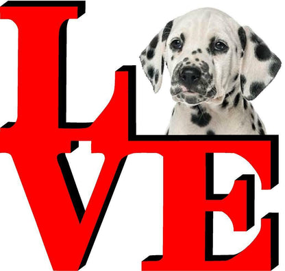 Dalmatian Dog Love Park Dog Fridge Refrigerator Car Magnet
