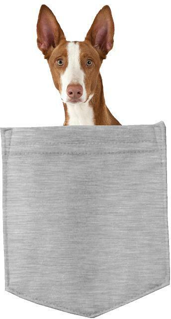 Ibizan Hound Dog in pocket Fridge Car Magnet Bumper Sticker App size 4"x7"